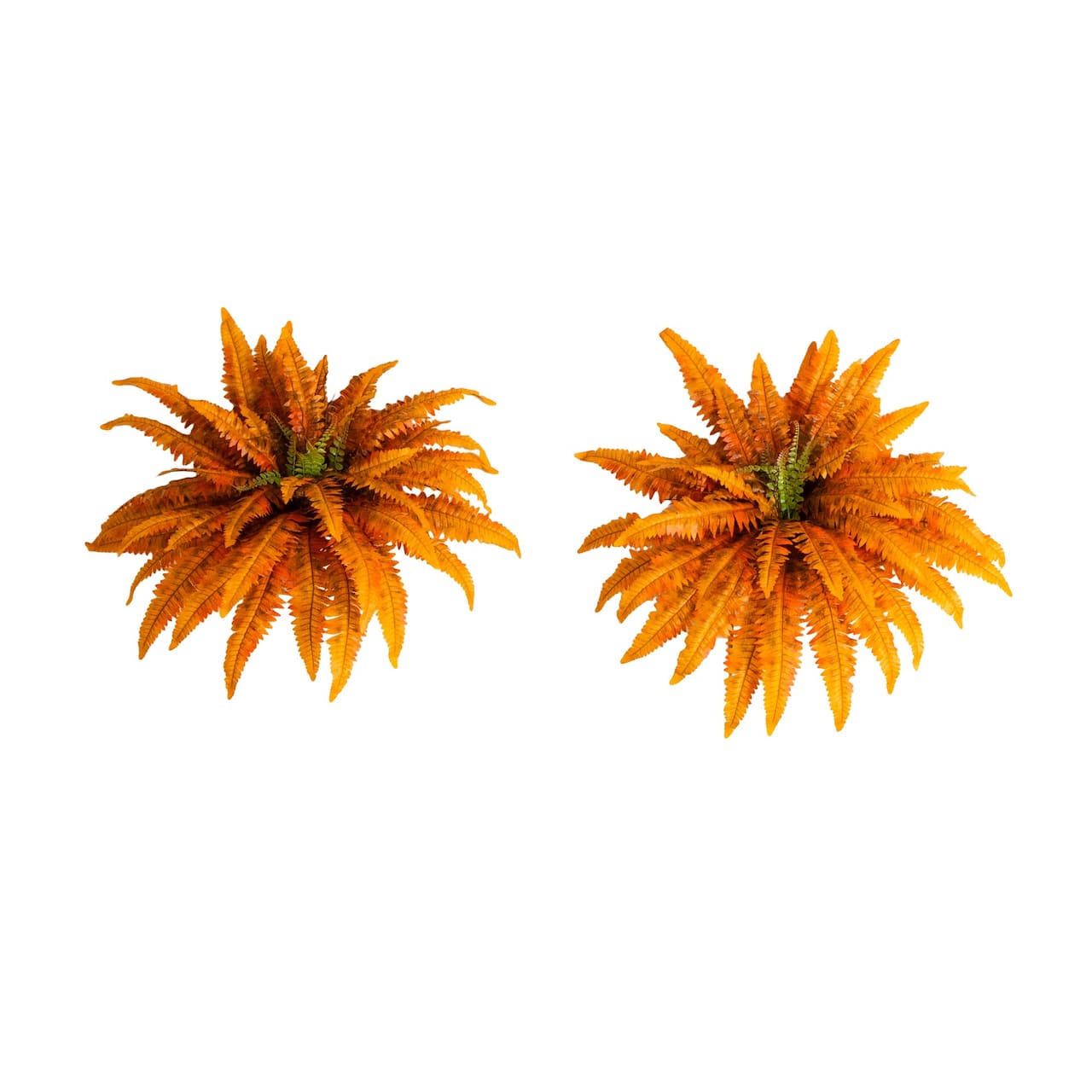 40in. Autumn Artificial Fall Boston Fern - Set of 2